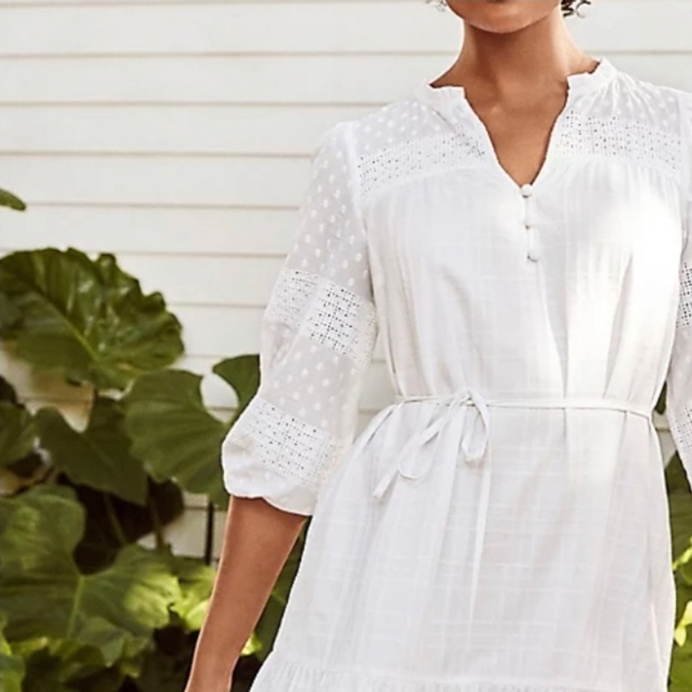 NWT LOFT Dotted Lace Trim Flounce Swing Dress